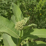 DSC09200.JPG