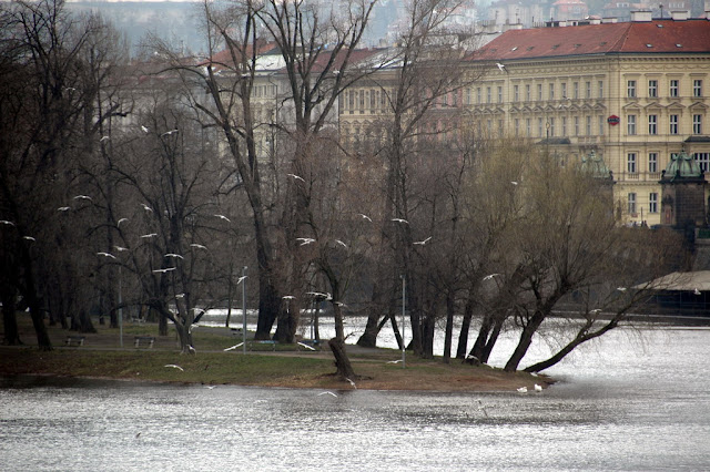 20080317Czech234_exposure.jpg