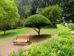 DSCN0215 DSCN0215