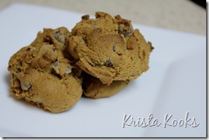 Krista Kooks Gluten Free Alton Brown Chocolate Chip Cookies 2