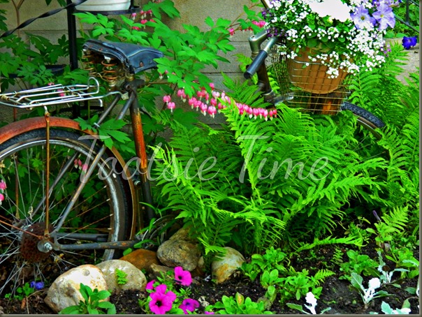 BeFunky_021.jpg BeFunky_021.jpg