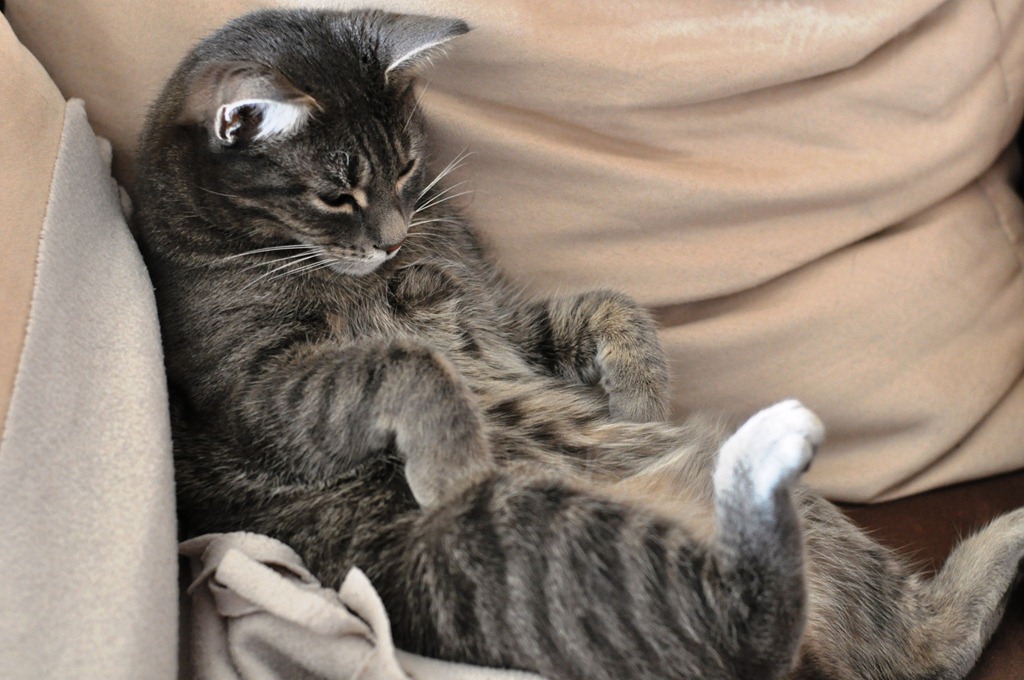 [DSC_1466%255B2%255D.jpg]