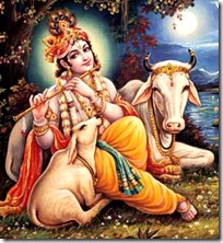 Lord Krishna Lord Krishna