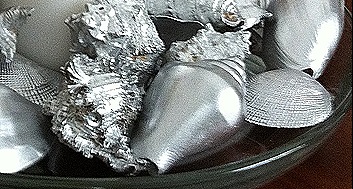 IMG_1355 IMG_1355