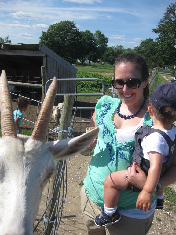 [2012.06.24%25204-Petting%2520Zoo%2520%25287%2529%255B4%255D.jpg]