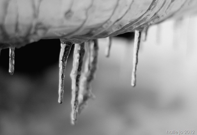 Snow19 Snow19