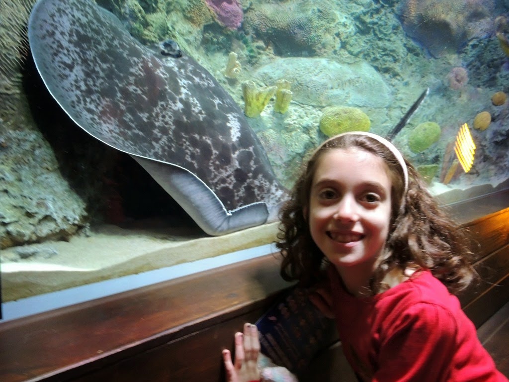 [DSCN8750%255B3%255D.jpg]