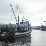 2008-10-18 whale watching and mbaq