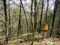 DSCN1906.JPG