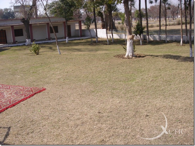 DSC02340 DSC02340