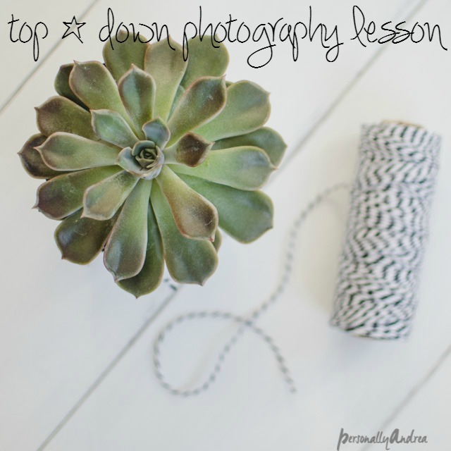 Top Down Photography // succulent and twine