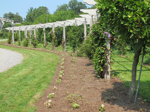 Look at what a great job we did!