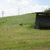 IMG_0612.JPG