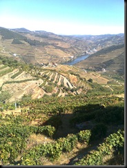 Pinhão à Vista desde Valença do Douro
