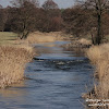 dsc07536.jpg