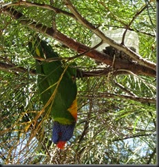IMG_0560 IMG_0560