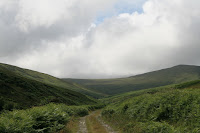 IMG_3380.jpg