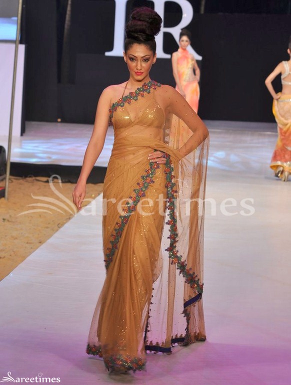 [Neeta_Lulla_Sari%255B4%255D.jpg]
