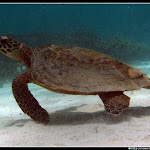 IMG_8687.JPG