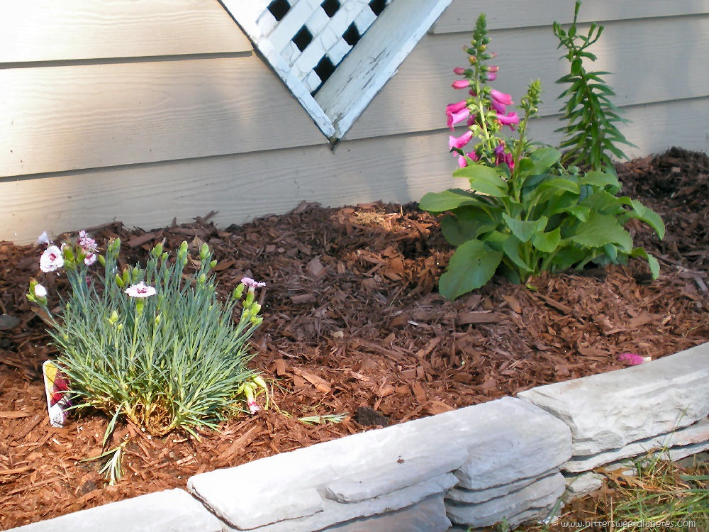 [garden2%255B3%255D.jpg]