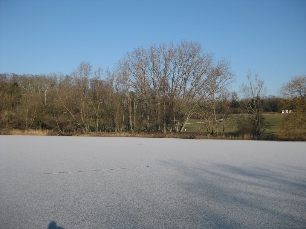 [IMG_5365%255B6%255D.jpg]