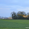 DPP_0013.JPG