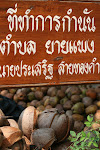 Bangkok, Thailand 066.JPG