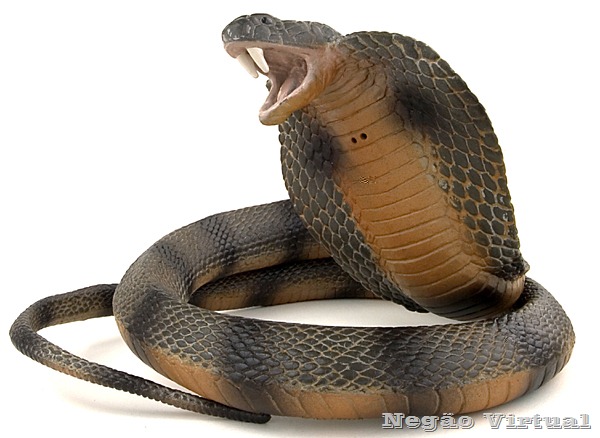 [cobra-snake%255B3%255D.jpg]