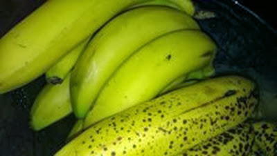 Bananas Bananas