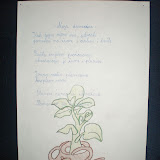 PB230282.JPG