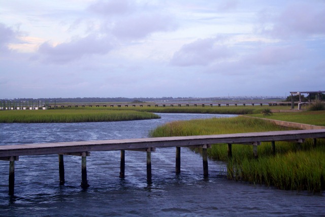 [Beach-Trip-2011-207-14.jpg]