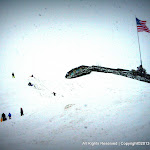 IMG_7895.JPG