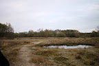 IMG_5088.JPG