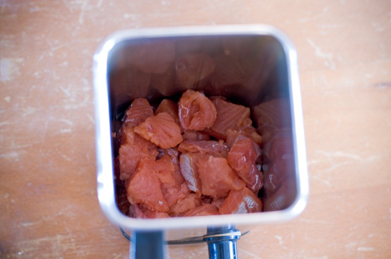 [salmonbgr-11%255B3%255D.jpg]