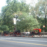 New York 2002 - central%252520park%252520horses.jpg