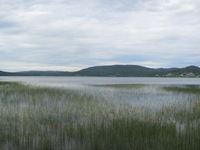 IMG_7028 IMG_7028