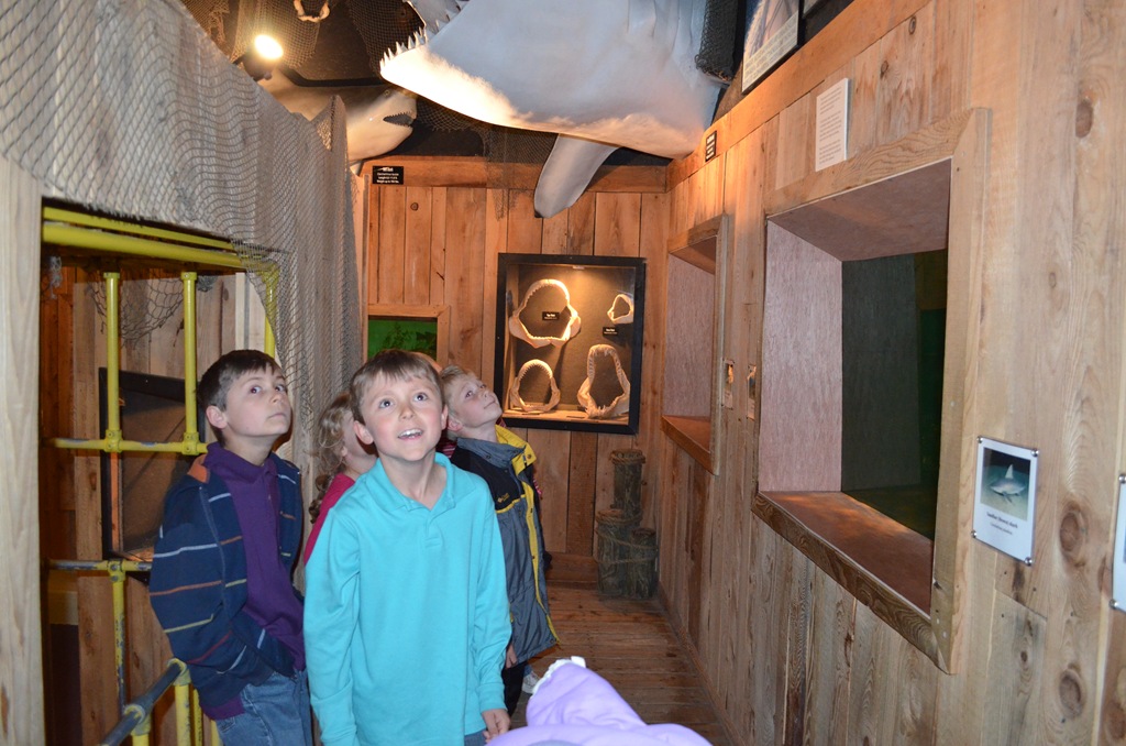 [DSC_0475%255B3%255D.jpg]