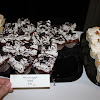 Churchill and YPR Wine Tasting 447.JPG