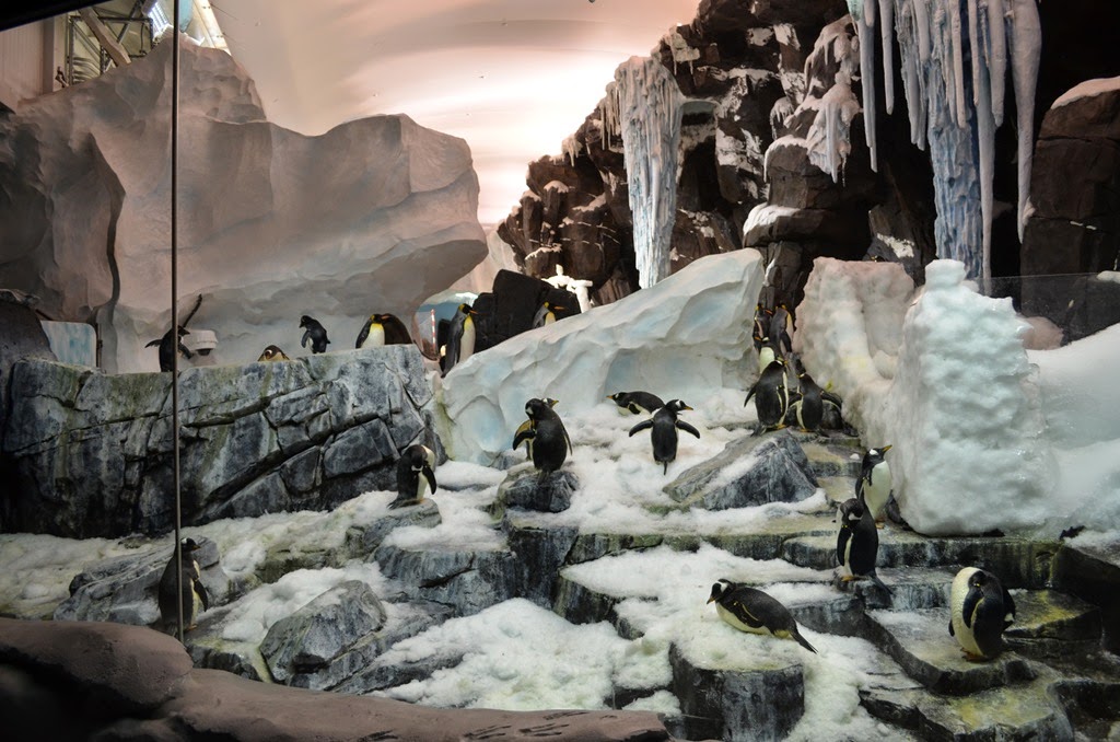 [DSC_8381%255B3%255D.jpg]