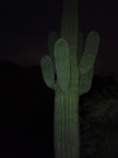 IMG_20110807_195731.jpg
