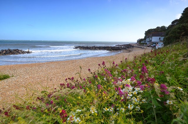 [Can%2520You%2520Spot%2520Dippy%2520Monks%2520Bay%255B3%255D.jpg]