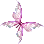 Pink butterfly R