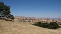 DSC02999.jpg
