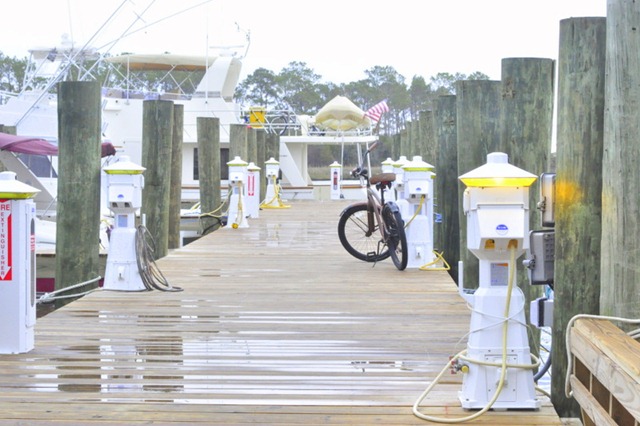 [water-front-oct-29-1403.jpg]