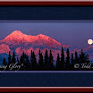 Morning-Glory-Framed.jpg