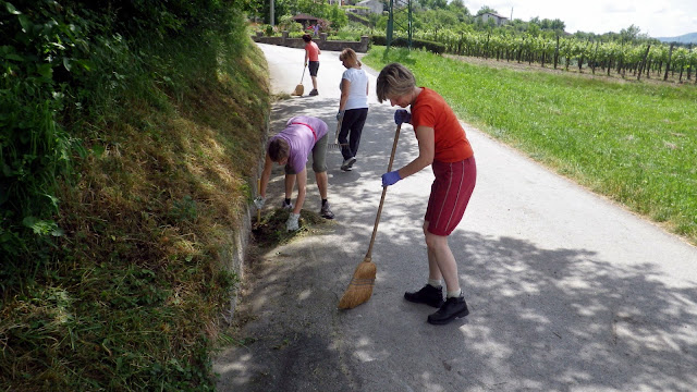 2014-05-Cistilna-akcija-Osek-24.JPG
