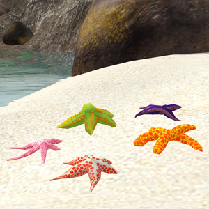 [Starfish1%255B4%255D.png]
