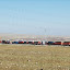 Tianshan - Caravane de camions colorés