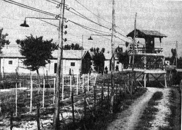 [Fossoli%255B5%255D.jpg]