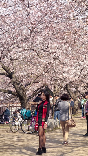 20150330-DSC06761 20150330-DSC06761